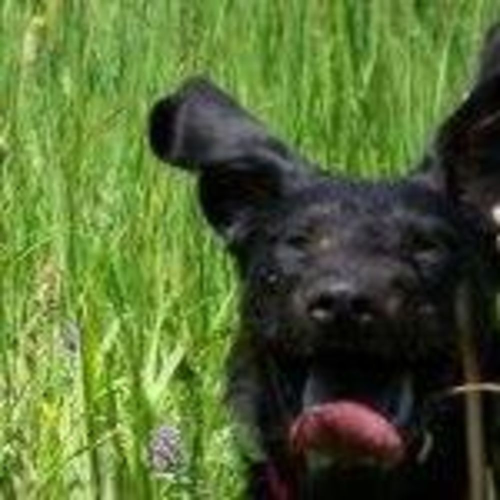 Meet your Posher, Bear